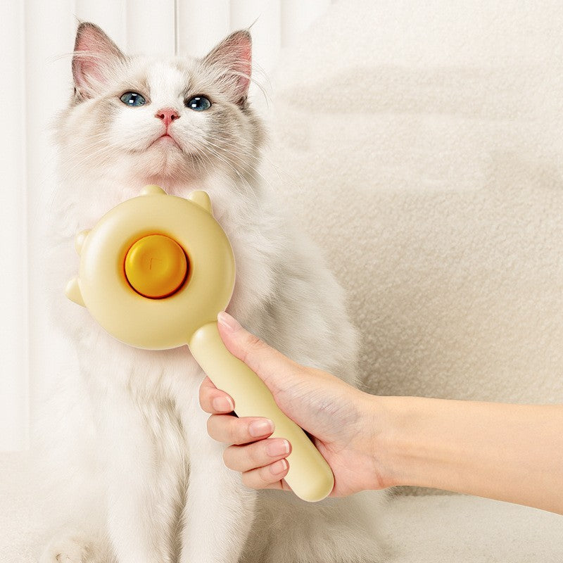 Cat Hair Removal Brush